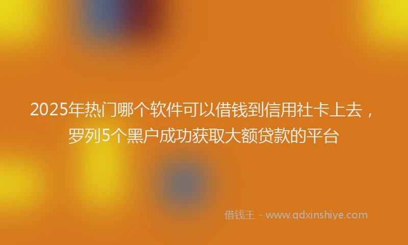 2025年热门哪个软件可以借钱到信用社卡上去，罗列5个黑户成功获取大额贷款的平台