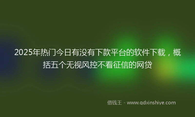 2025年热门今日有没有下款平台的软件下载，概括五个无视风控不看征信的网贷