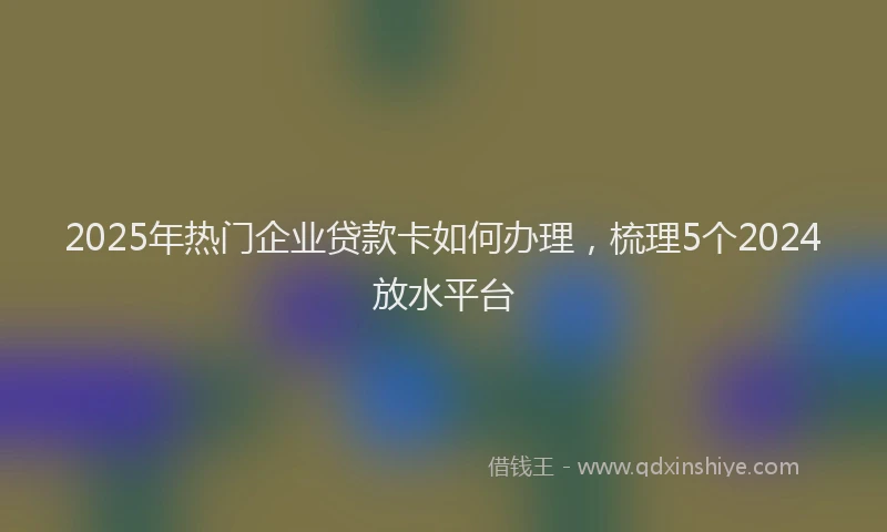 2025年热门企业贷款卡如何办理，梳理5个2024放水平台