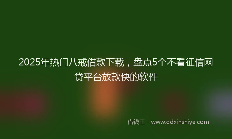 2025年热门八戒借款下载，盘点5个不看征信网贷平台放款快的软件