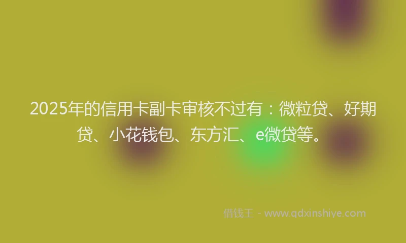 2025年的信用卡副卡审核不过有：微粒贷、好期贷、小花钱包、东方汇、e微贷等。
