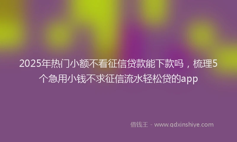 2025年热门小额不看征信贷款能下款吗，梳理5个急用小钱不求征信流水轻松贷的app