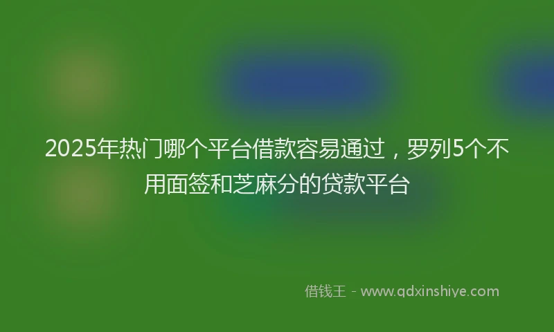 2025年热门哪个平台借款容易通过，罗列5个不用面签和芝麻分的贷款平台