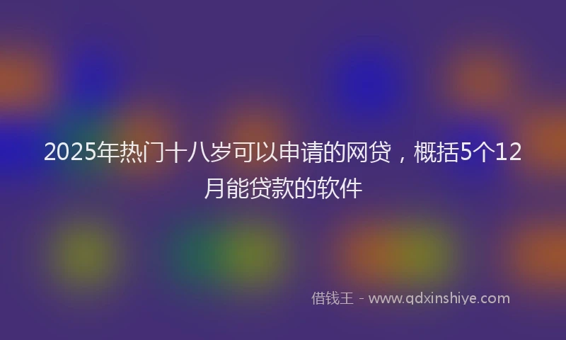 2025年热门十八岁可以申请的网贷，概括5个12月能贷款的软件