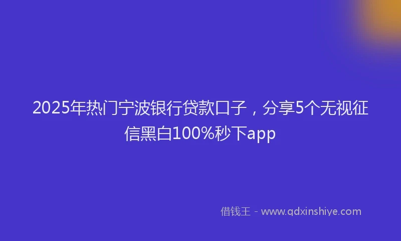 2025年热门宁波银行贷款口子，分享5个无视征信黑白100%秒下app