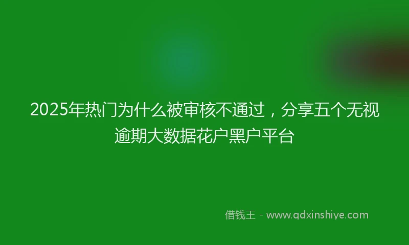 2025年热门为什么被审核不通过，分享五个无视逾期大数据花户黑户平台