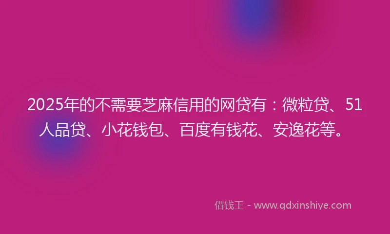 2025年的不需要芝麻信用的网贷有：微粒贷、51人品贷、小花钱包、百度有钱花、安逸花等。