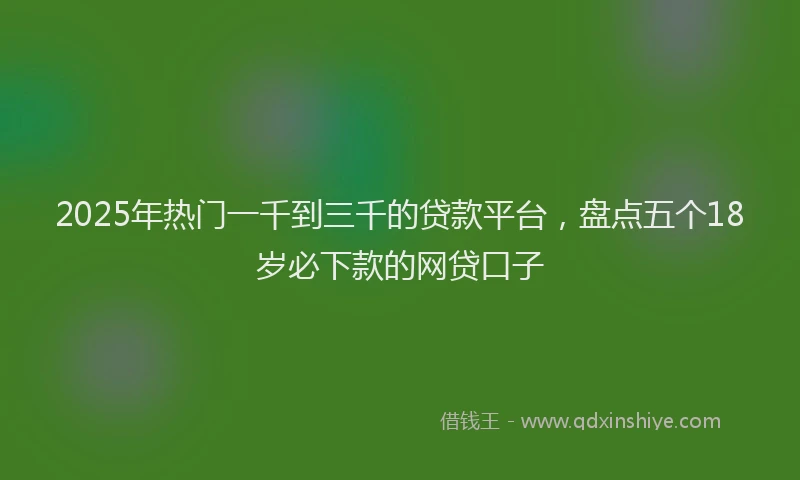 2025年热门一千到三千的贷款平台，盘点五个18岁必下款的网贷口子