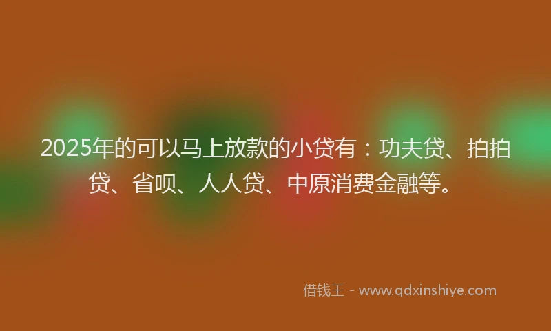 2025年的可以马上放款的小贷有：功夫贷、拍拍贷、省呗、人人贷、中原消费金融等。