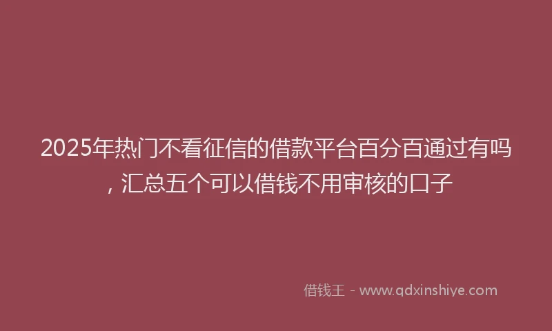 2025年热门不看征信的借款平台百分百通过有吗，汇总五个可以借钱不用审核的口子