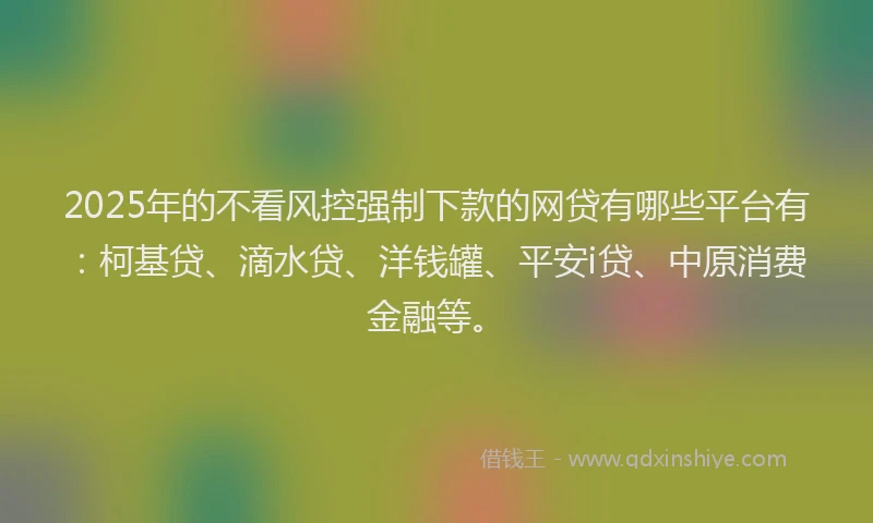 2025年的不看风控强制下款的网贷有哪些平台有：柯基贷、滴水贷、洋钱罐、平安i贷、中原消费金融等。