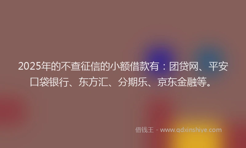 2025年的不查征信的小额借款有：团贷网、平安口袋银行、东方汇、分期乐、京东金融等。