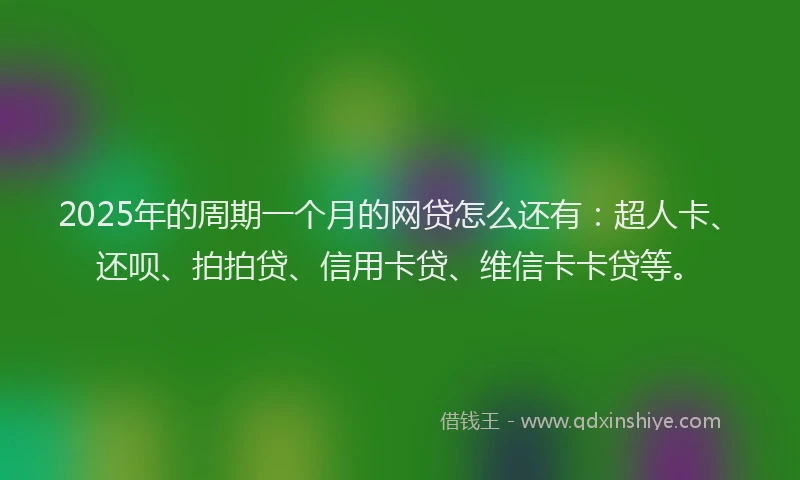 2025年的周期一个月的网贷怎么还有：超人卡、还呗、拍拍贷、信用卡贷、维信卡卡贷等。