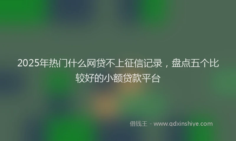 2025年热门什么网贷不上征信记录，盘点五个比较好的小额贷款平台