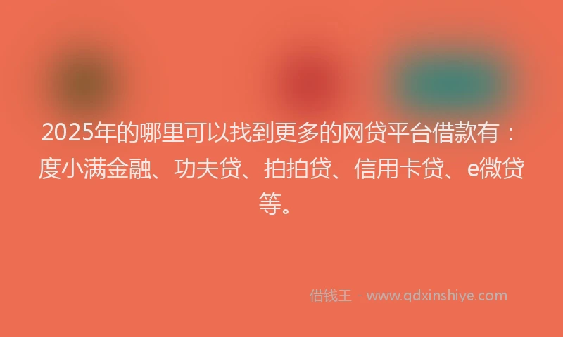 2025年的哪里可以找到更多的网贷平台借款有：度小满金融、功夫贷、拍拍贷、信用卡贷、e微贷等。