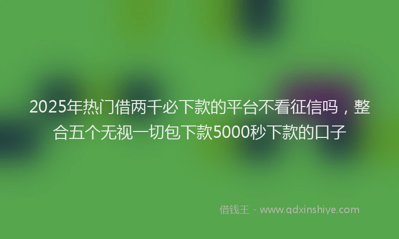 2025年热门借两千必下款的平台不看征信吗，整合五个无视一切包下款5000秒下款的口子