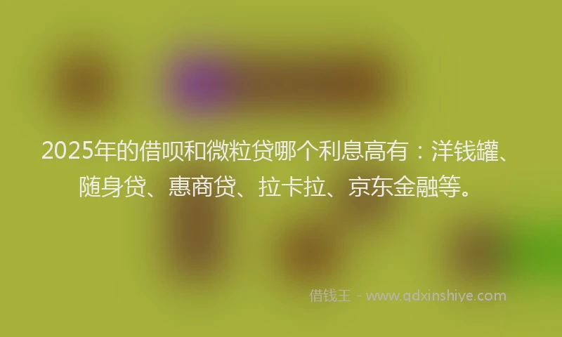 2025年的借呗和微粒贷哪个利息高有：洋钱罐、随身贷、惠商贷、拉卡拉、京东金融等。