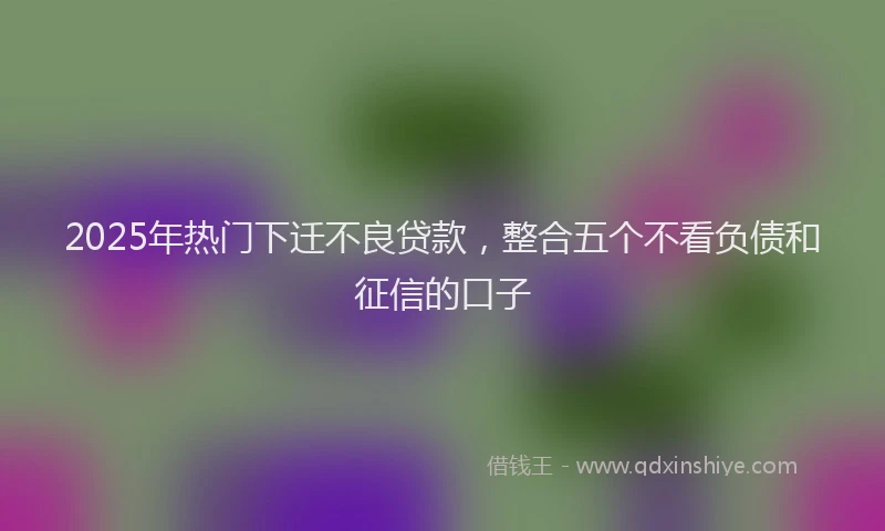 2025年热门下迁不良贷款，整合五个不看负债和征信的口子