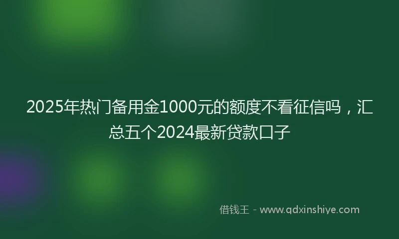 2025年热门备用金1000元的额度不看征信吗，汇总五个2024最新贷款口子