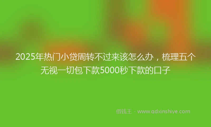 2025年热门小贷周转不过来该怎么办，梳理五个无视一切包下款5000秒下款的口子