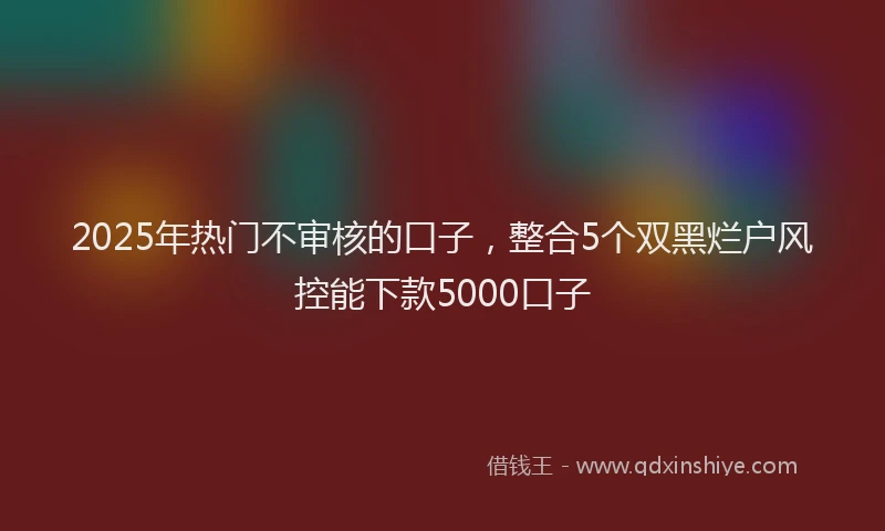 2025年热门不审核的口子，整合5个双黑烂户风控能下款5000口子