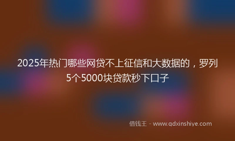2025年热门哪些网贷不上征信和大数据的，罗列5个5000块贷款秒下口子