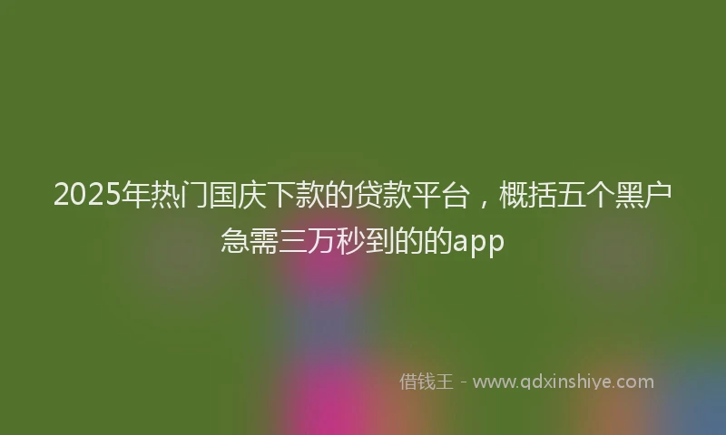 2025年热门国庆下款的贷款平台，概括五个黑户急需三万秒到的的app