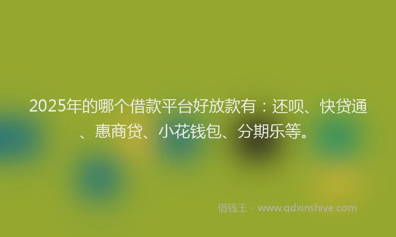 2025年的哪个借款平台好放款有：还呗、快贷通、惠商贷、小花钱包、分期乐等。