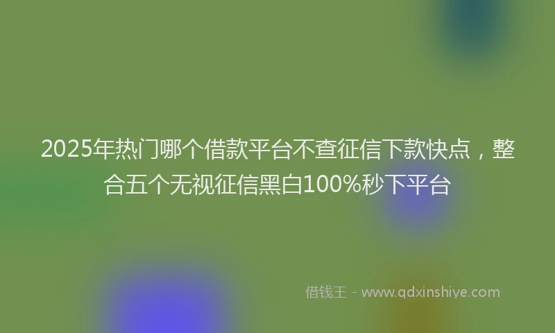 2025年热门哪个借款平台不查征信下款快点，整合五个无视征信黑白100%秒下平台