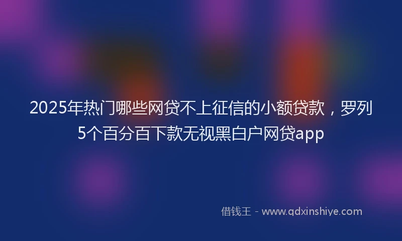 2025年热门哪些网贷不上征信的小额贷款，罗列5个百分百下款无视黑白户网贷app