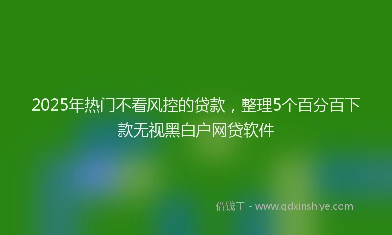 2025年热门不看风控的贷款，整理5个百分百下款无视黑白户网贷软件