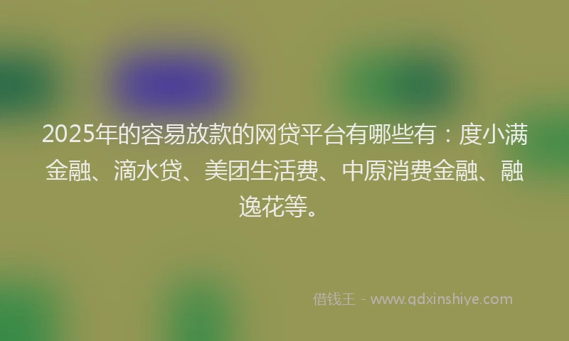 2025年的容易放款的网贷平台有哪些有：度小满金融、滴水贷、美团生活费、中原消费金融、融逸花等。