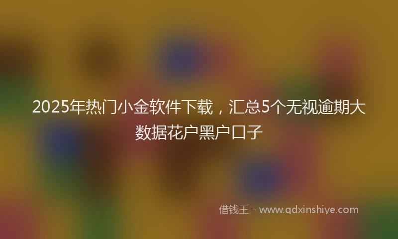 2025年热门小金软件下载，汇总5个无视逾期大数据花户黑户口子