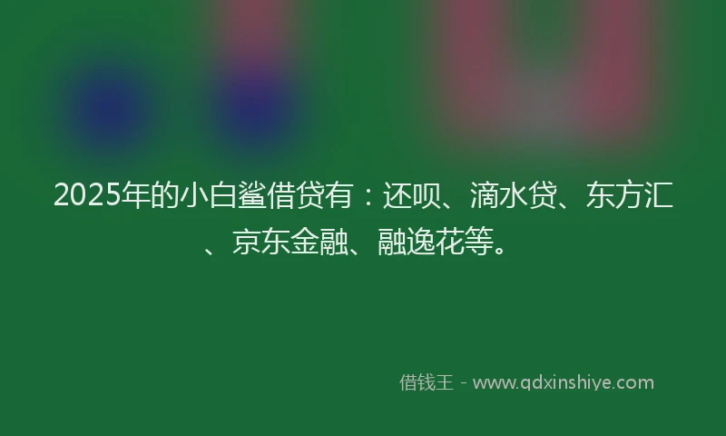 2025年的小白鲨借贷有：还呗、滴水贷、东方汇、京东金融、融逸花等。