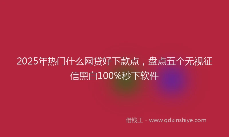2025年热门什么网贷好下款点，盘点五个无视征信黑白100%秒下软件