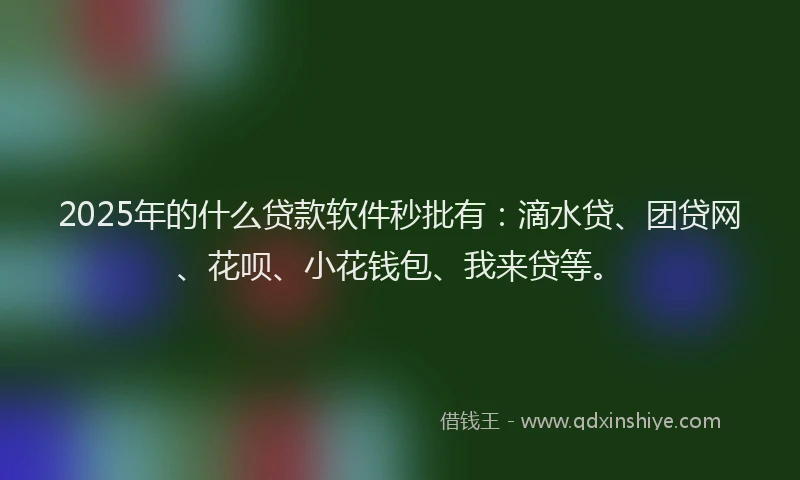 2025年的什么贷款软件秒批有：滴水贷、团贷网、花呗、小花钱包、我来贷等。