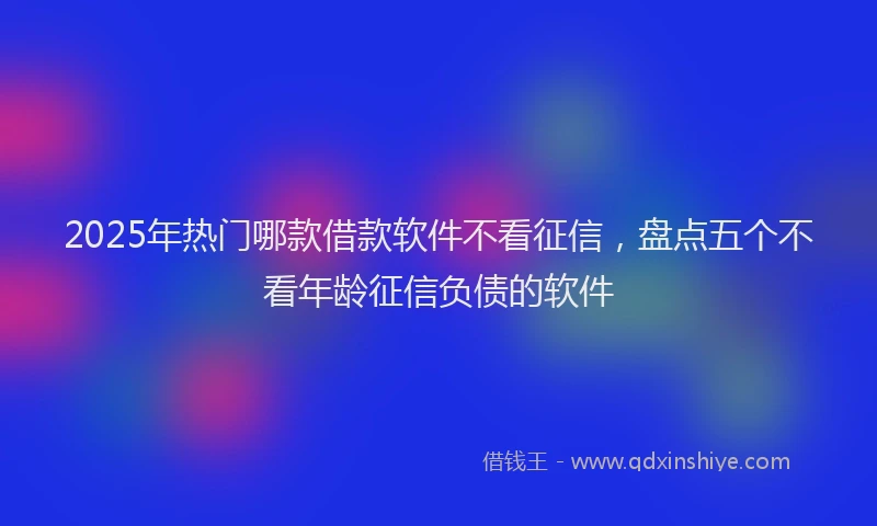 2025年热门哪款借款软件不看征信，盘点五个不看年龄征信负债的软件