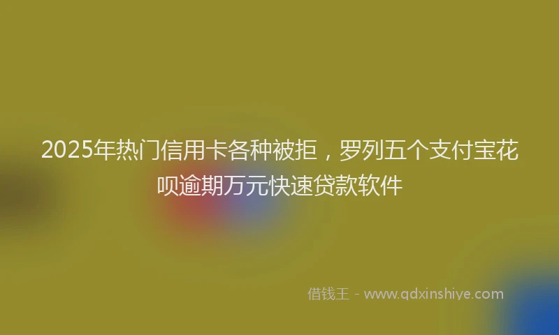 2025年热门信用卡各种被拒，罗列五个支付宝花呗逾期万元快速贷款软件