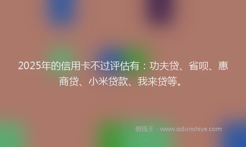 2025年的信用卡不过评估有：功夫贷、省呗、惠商贷、小米贷款、我来贷等。