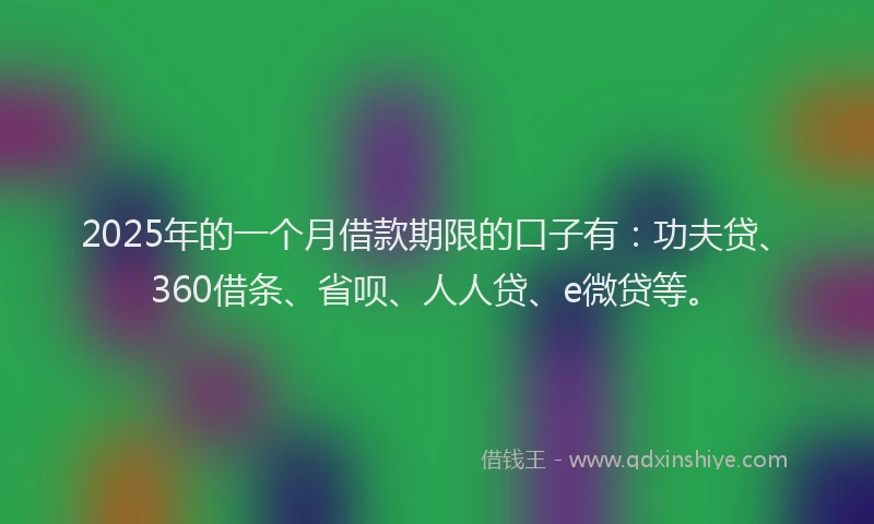2025年的一个月借款期限的口子有：功夫贷、360借条、省呗、人人贷、e微贷等。
