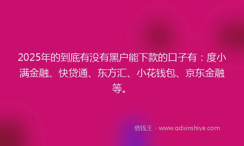 2025年的到底有没有黑户能下款的口子有：度小满金融、快贷通、东方汇、小花钱包、京东金融等。