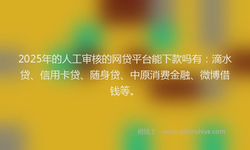 2025年的人工审核的网贷平台能下款吗有：滴水贷、信用卡贷、随身贷、中原消费金融、微博借钱等。
