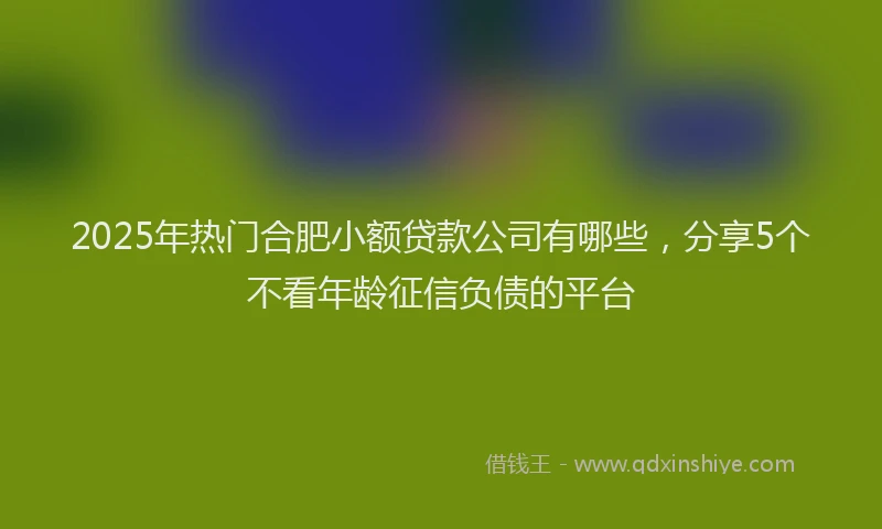 2025年热门合肥小额贷款公司有哪些，分享5个不看年龄征信负债的平台