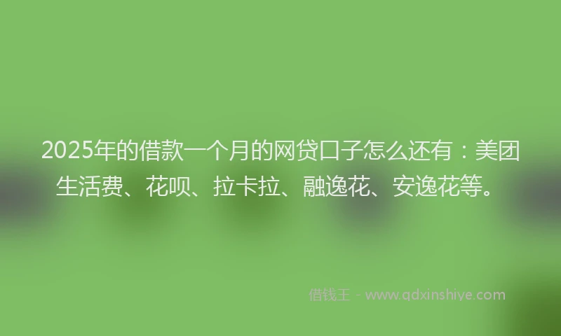 2025年的借款一个月的网贷口子怎么还有：美团生活费、花呗、拉卡拉、融逸花、安逸花等。