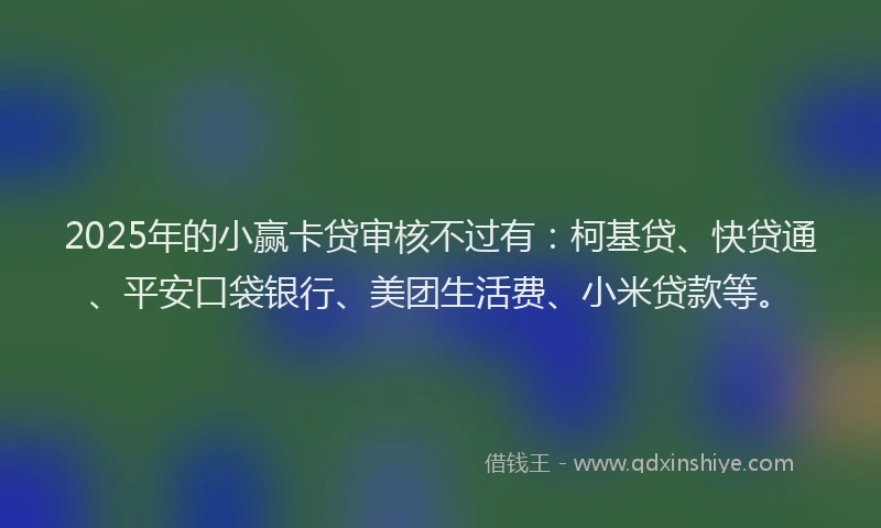 2025年的小赢卡贷审核不过有：柯基贷、快贷通、平安口袋银行、美团生活费、小米贷款等。