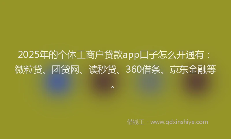 2025年的个体工商户贷款app口子怎么开通有：微粒贷、团贷网、读秒贷、360借条、京东金融等。