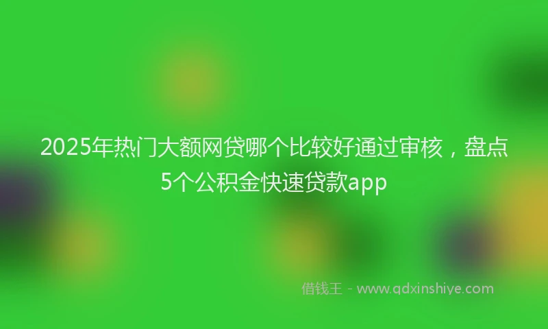 2025年热门大额网贷哪个比较好通过审核，盘点5个公积金快速贷款app