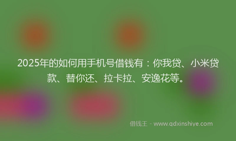 2025年的如何用手机号借钱有：你我贷、小米贷款、替你还、拉卡拉、安逸花等。