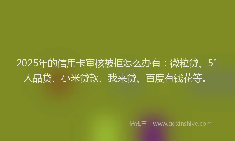 2025年的信用卡审核被拒怎么办有：微粒贷、51人品贷、小米贷款、我来贷、百度有钱花等。