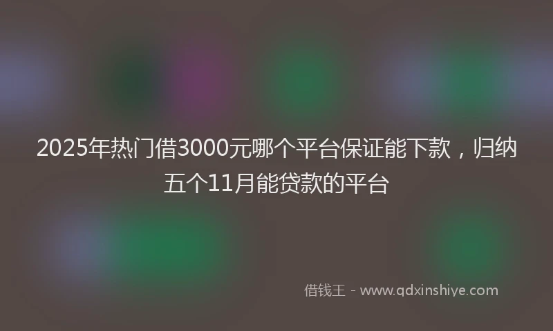 2025年热门借3000元哪个平台保证能下款，归纳五个11月能贷款的平台